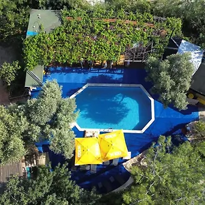 shiva-camp.aegeanhotels.net/